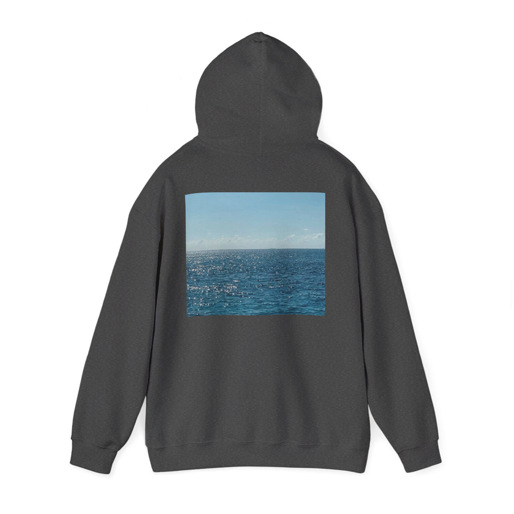 Ocean Photo Hoodie — “Joy has a habit of returning” Relaxed Beach Vibe Sweatshirt